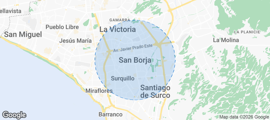 Discover San Borja Airbnb Analytics